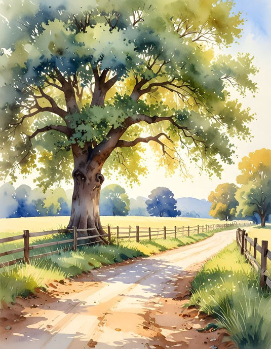 Country Road Under Summer Oak