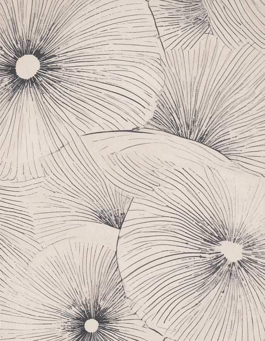 Organic Radiance: Minimalist Floral Abstract